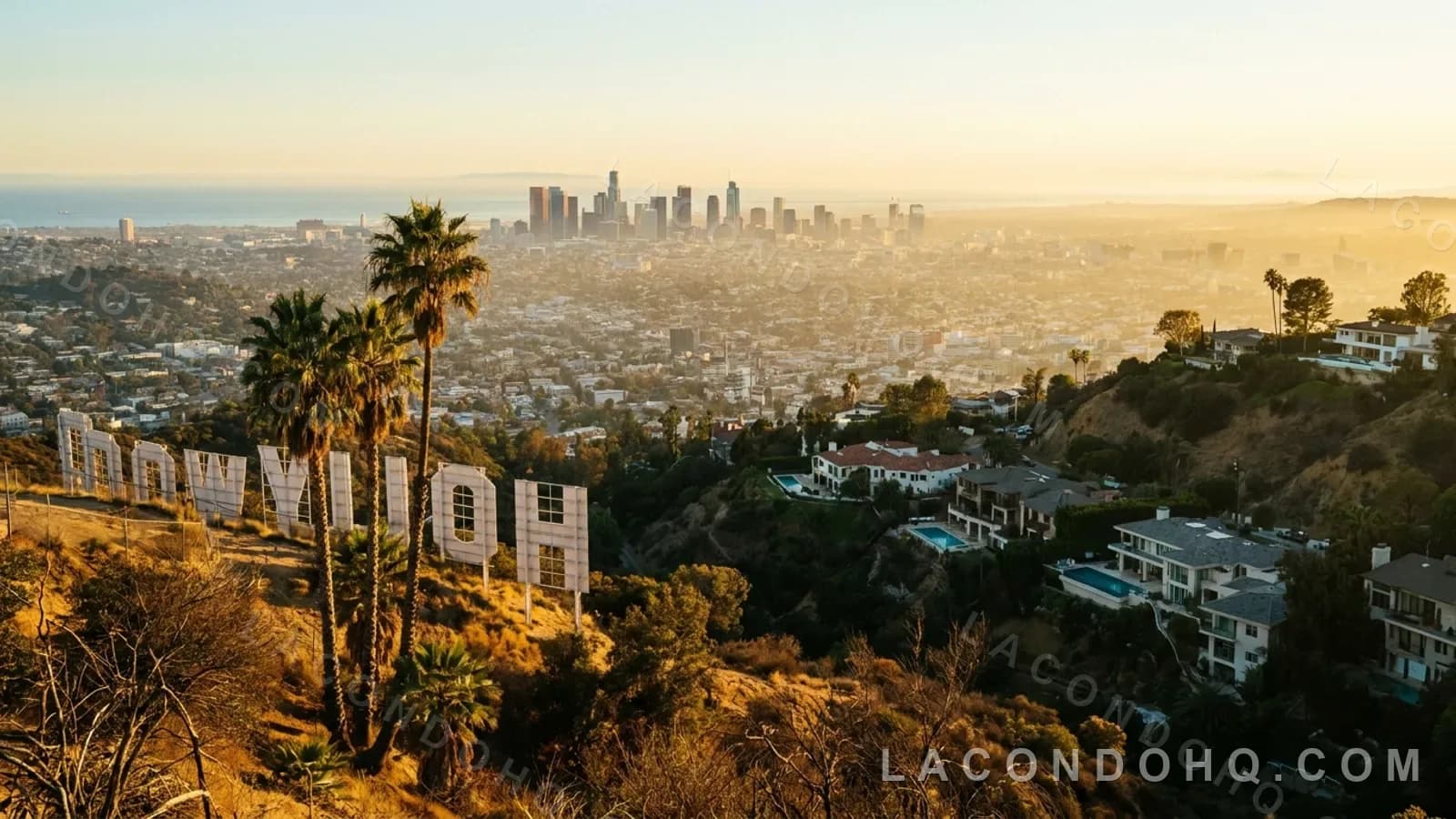 Hollywood neighborhood illustration
